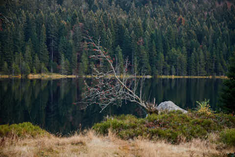 Gemeinde Lohberg Landkreis Cham Kleiner Arbersee (Dirschl Johann) Deutschland CHA